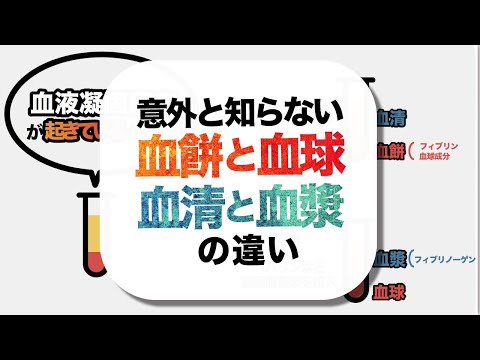 真実の血清について詳しく解説