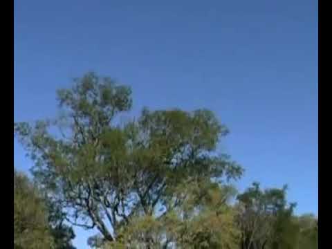 Oséas costa oração da família