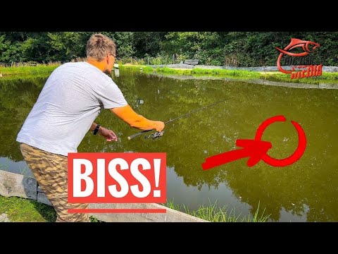 FANGEN UNMÖGLICH? Es geht doch! HOCHSOMMER-FORELLEN - so funktioniert’s | GREWALD unterwegs