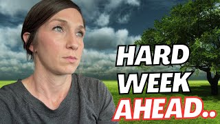 🚨 Send HELP!!!