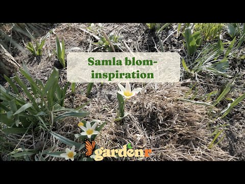 Gather flower inspiration - Gardenhacks by GardenR