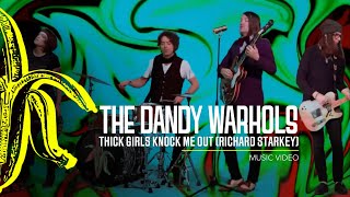 The Dandy Warhols - "Thick Girls Knock Me Out (Richard Starkey)" Official Music Video