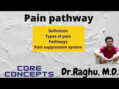 Pain pathway | Pain physiology | Pain suppression system | Gate control theory | Neurophysiology