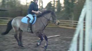 Best Time of My Life-Misery Business