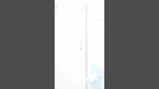 Happy raksha bandhan🤗to all family😇#Awez new Insta reels💟#shorts #nawez