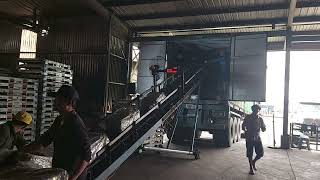 MV CT388- EGHU3173872