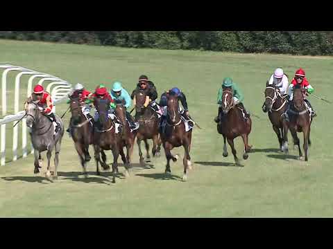 2023.07.23. 8. Futam - GÖDI HENDIKEP (IV.o.)