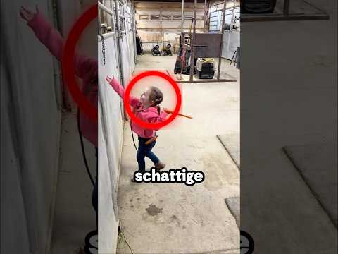 Lieve Meisje Doet Dit Elke Ochtend!❤️🐴 (@swimmer_2_winner/TT)