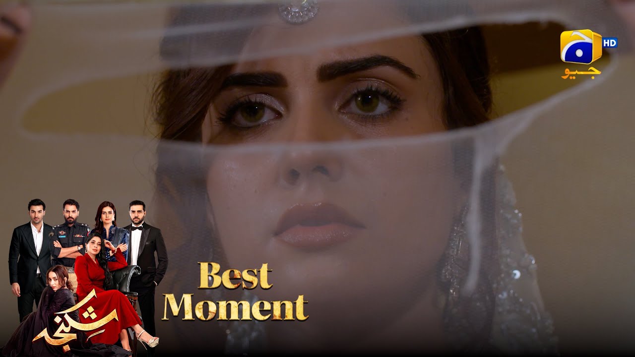 Shikanja Episode 27 | 𝐁𝐞𝐬𝐭 𝐌𝐨𝐦𝐞𝐧𝐭 𝟎𝟒 |  Azekah Daniel - Asad Siddiqui - Furqan Quresh | Har Pal Geo