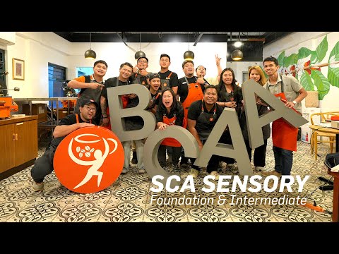 SCA Sensory Foundation & Intermediate