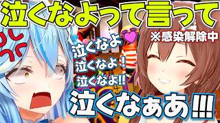 【Cursed Companions】ワードが上手く発動せず徐々にキレ始めるラミィを笑うころさん【ホロライブ戌神ころね切り抜き】