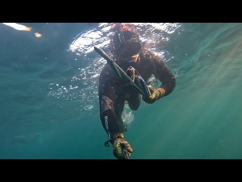 Winter spearfishing in shetland , Clear water and plenty fish (Episode 63)