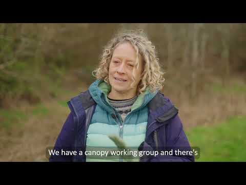 Clyde Climate Forest