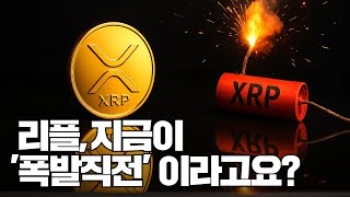 리플 폭발 직전이라고요?