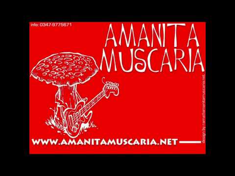 Amanita Muscaria - Amanita Muscaria
