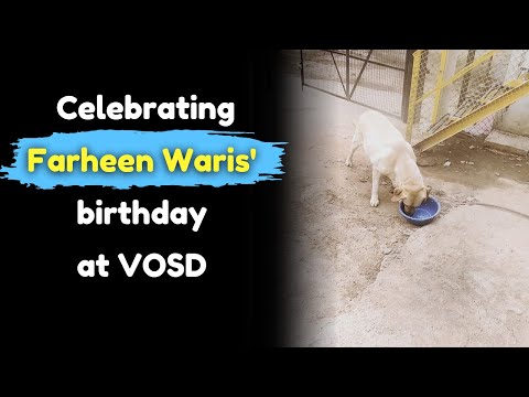Celebrating Farheen Waris' birthday at VOSD