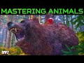 The Hidden Animal Path System Of DayZ A New Way To Hunt