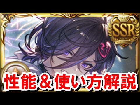 今後土奥義軸の要になりそうな水着リッチの性能を見ていく！ 【グラブル】