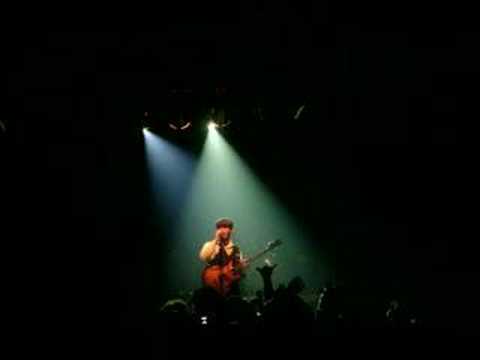 Palavras de Sabedoria do Rodrigo Piccolo