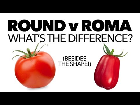 Tomatoes: Round vs Roma — What's the Difference?