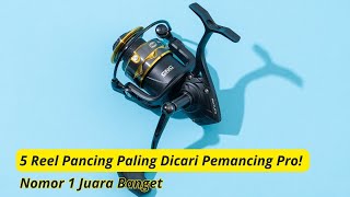 Download lagu 5 Best Affordable Fishing Reels: Don't Waste Money on Expensive Ones! mp3