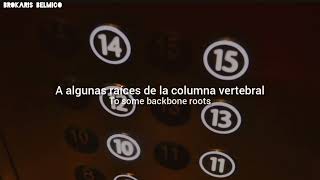 Beck - Elevator Music (Lyrics/Subtitulado al español)