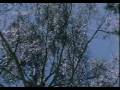 Nilavu Thoongum Neram BGM