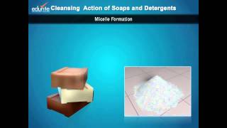 Cleansing Action of Soaps and Detergents