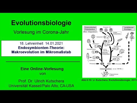 Experimentelle Evolutionsforschung: Von der Hundezucht zur Computersimulation