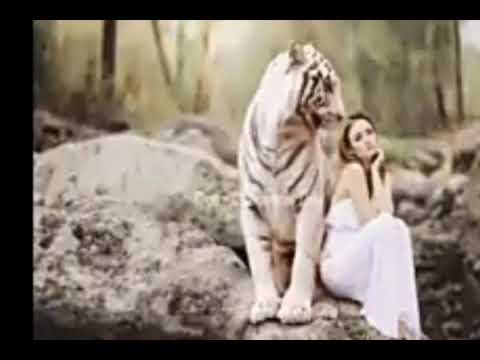 LASI TLANGVAL HRANGKHUMA BUNG 31 NA(MIZO STORY AUDIO)