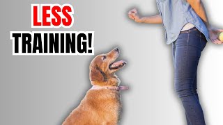 Train Your Stubborn Breed To Listen EVERY Time (Even Off Leash!)
