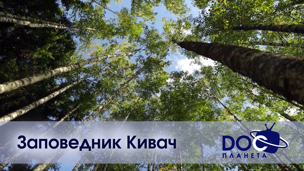 Russian Travel Guide. Заповедник Кивач - Документальный фильм