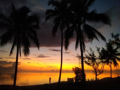 Diagonale des Fous 2022 - 30ème édition 58h Inside