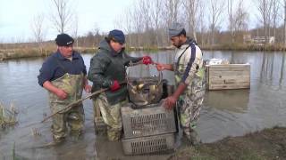 Дни преди Никулден развъдниците на риба са почти празни