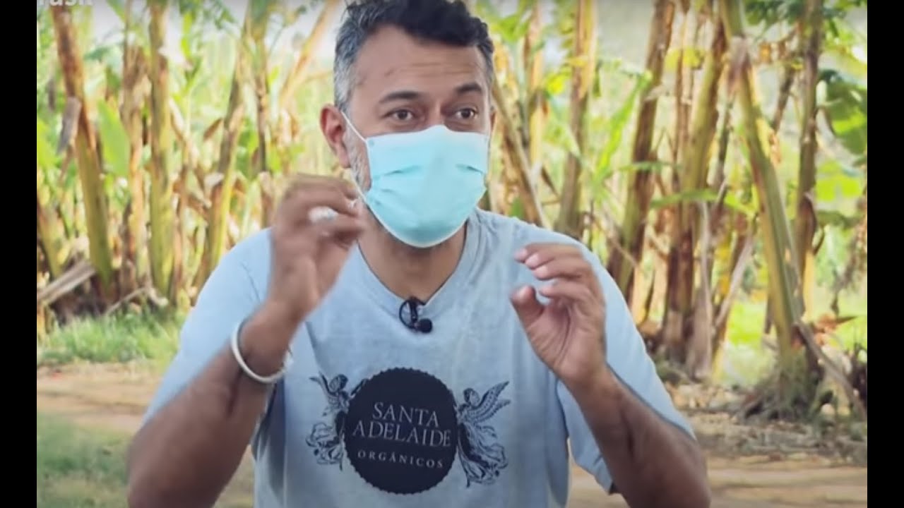 Conheça mais sobre a produção de alimentos orgânicos - Agro Nacional