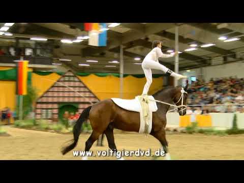 Luisa Horn - Damen 37 - DMV Verden 2017