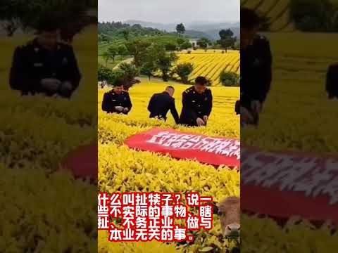 完犢子是什麼意思