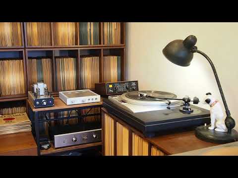 Manhattan Mary / Cass Hagan and his Park Central Hotel Orchestra