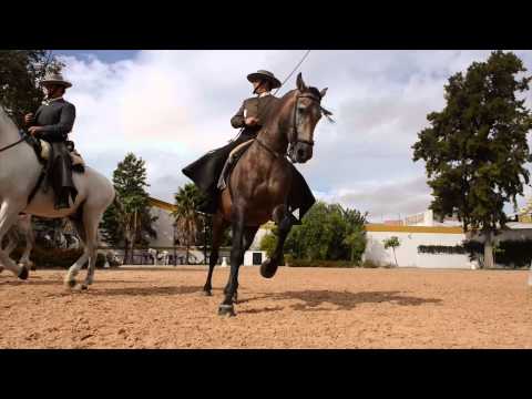 Royal Andalusian School of Equestrian Art