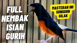 Download lagu MASTERAN MURAI BATU FULL ISIAN TEMBAKAN PANJANG MEWAH MATERI BURUNG LOMBA mp3