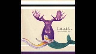 Habit - Headdress