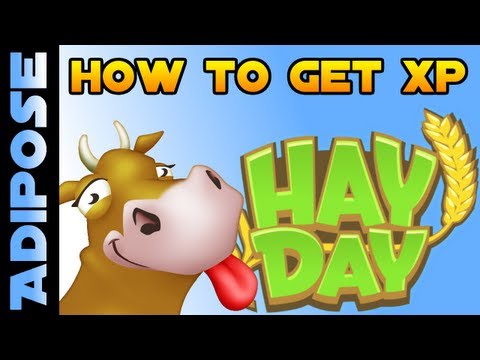 comment augmenter vite de niveau dans hay day