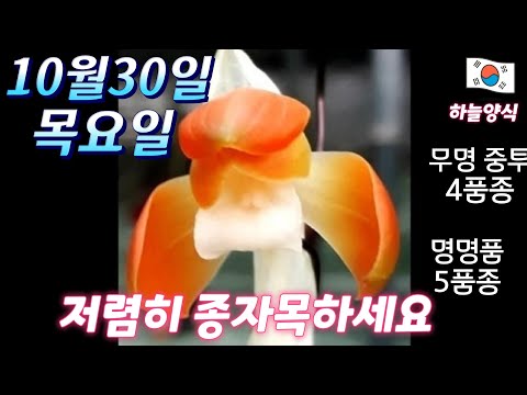 유튜브 썸네일