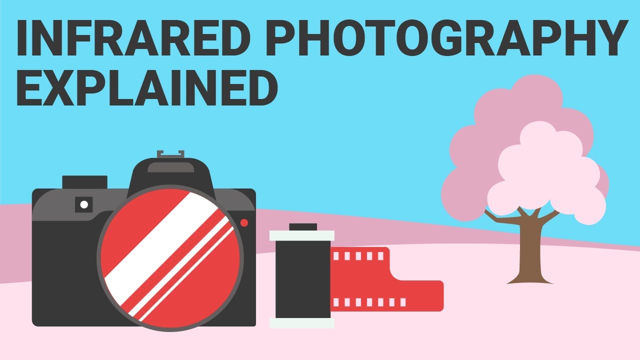 What is Infrared Photography and how can you shoot Infrared yourself