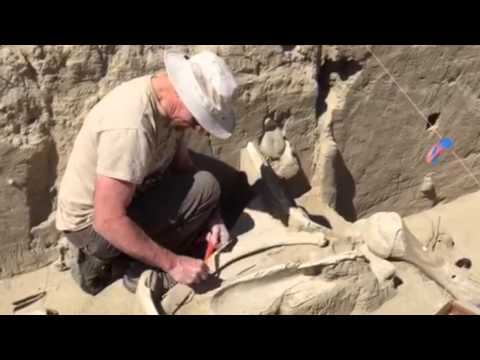 Mammoth dig