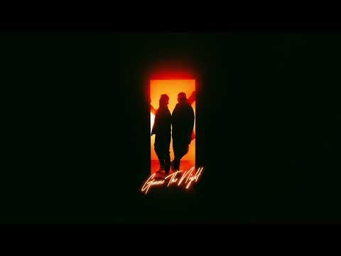PARADISE LTD, Wild Culture - Gimme The Night (Official Audio)