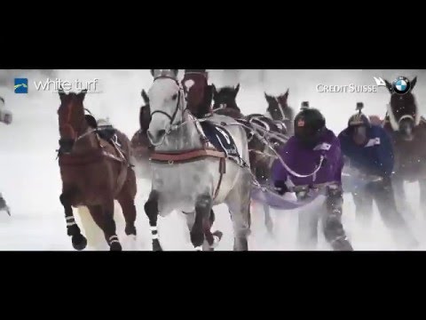 5. White Turf-TV Clip 2016