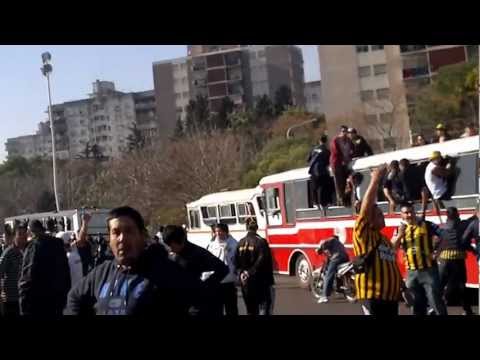 "Almirante de Caravana al gallinero !!!" Barra: La Banda Monstruo &bull; Club: Almirante Brown