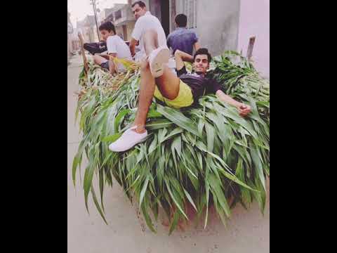 happy birthday kuljeet - ❤ love u the most  playdate video of birthday