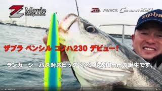 ザブラ ペンシル コノハ230 デビュー!